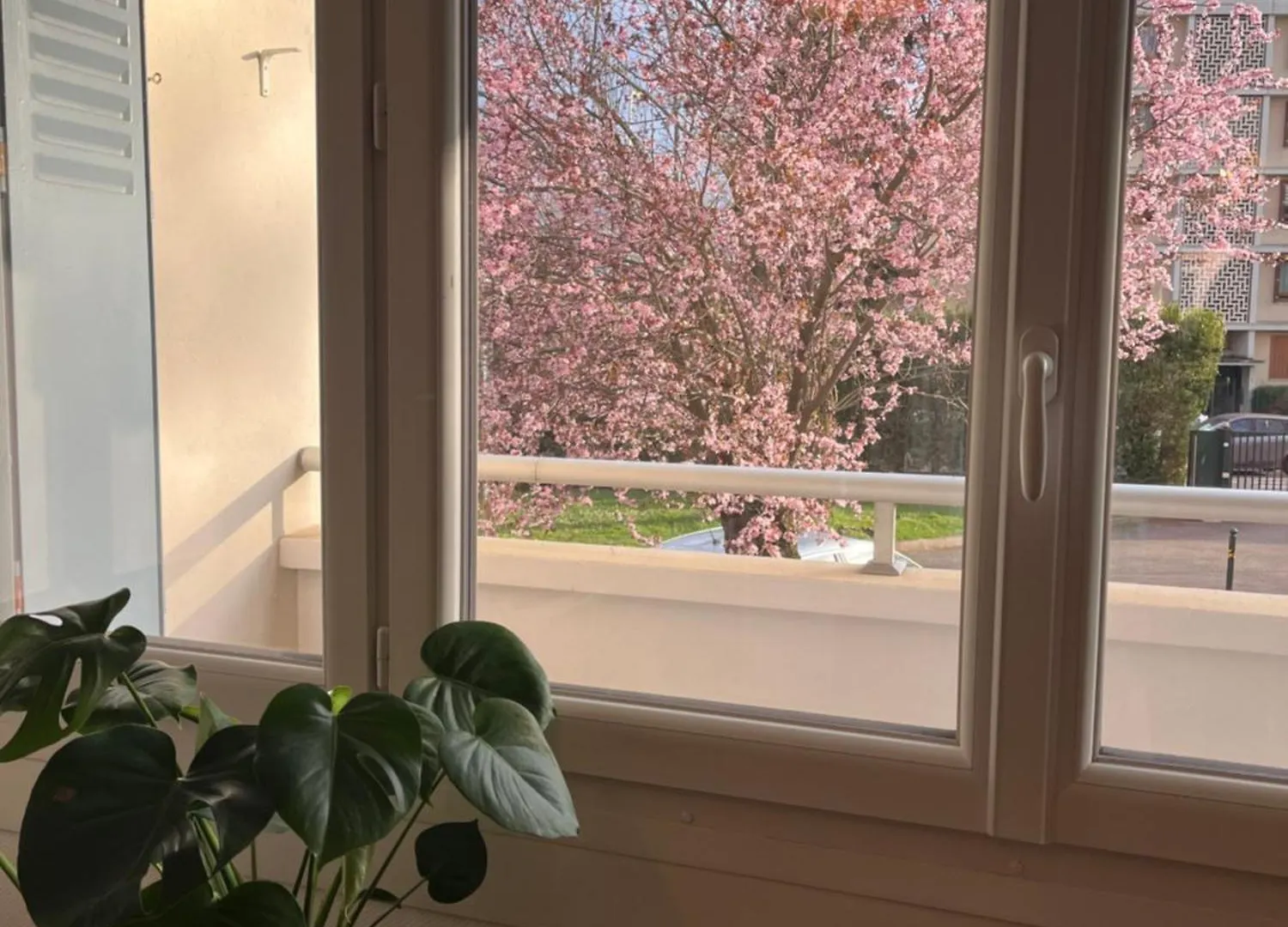 New & Cozy Appartement Lyon